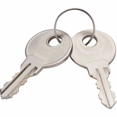 Image showing  Paris and London Dual Book Lock Box with Key Lock