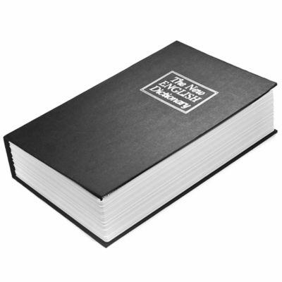 Image showing  Hidden Dictionary Book Lock Box