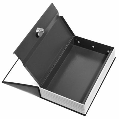 Image showing  Hidden Dictionary Book Lock Box
