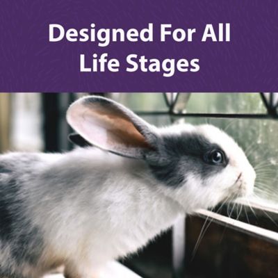 Image showing  Pelleted Timothy-Hay Based Rabbit Food, 5 lb. Pouch Bag