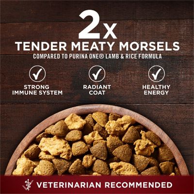 Image showing 5 th Purina ONE True Instinct With Real Salmon and Tuna Natural With Added Vitamins, Minerals and Nutrients Dog Food Dry Formula