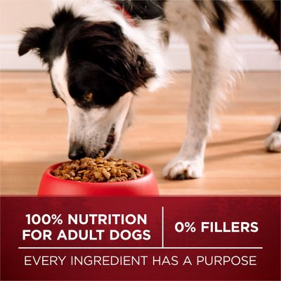 Image showing 7 th Purina ONE True Instinct With Real Salmon and Tuna Natural With Added Vitamins, Minerals and Nutrients Dog Food Dry Formula