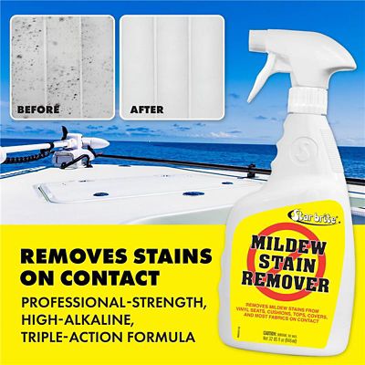 Image showing  Mildew Stain Remover 6/22oz
