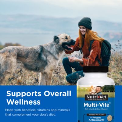 Image showing  Multi-Vite Vitamin Chewable Supplements for Dogs, 180 ct.