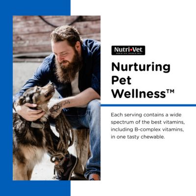Image showing 5 th Nutri-Vet Multi-Vite Vitamin Chewable Supplements for Dogs, 180 ct.