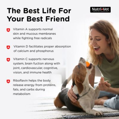 Image showing 6 th Nutri-Vet Multi-Vite Vitamin Chewable Supplements for Dogs, 180 ct.