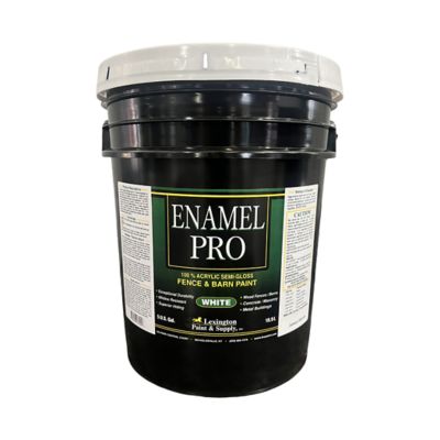 5 gal. Enamel Pro White Latex Paint