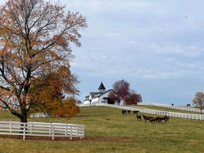 Image showing  5 gal. White Enamel Pro Latex Paint