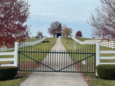 Image showing  5 gal. White Enamel Pro Latex Paint