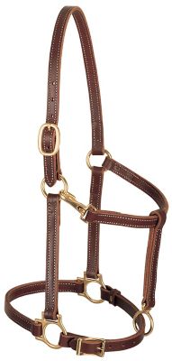 Weaver Leather Leather Track Horse Halter, 3/4 in., Cob, Mahogany