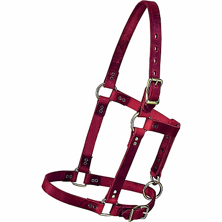 Weaver Leather Riveted Leather Horse Halter with Catch Strap, 5/8 in.