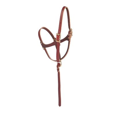 Weaver Equine Leather Figure-8 Foal/Suckling Halter, 5/8 in., Burgundy
