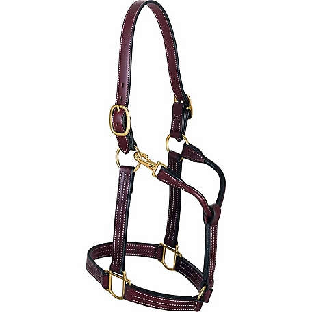 Weaver Leather Thoroughbred Horse Halter without Snap