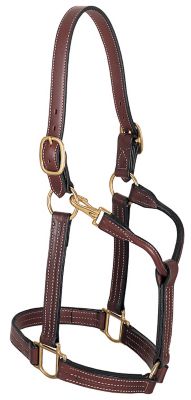 Weaver Leather Leather Thoroughbred Horse Halter with Snap, 1 in.