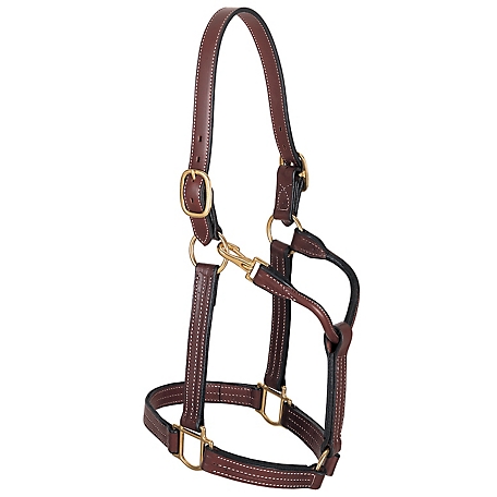 Weaver Leather Leather Thoroughbred Horse Halter with Snap, 1 in.