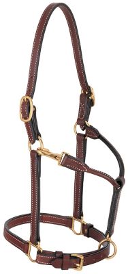 Weaver Leather Leather Horse Halter with Double Buckle Crown, 3/4 in.
