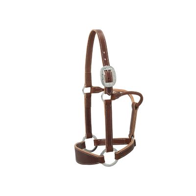 Weaver Leather Stacy Westfall Leather Bronc Halter, 1 in., Sunset