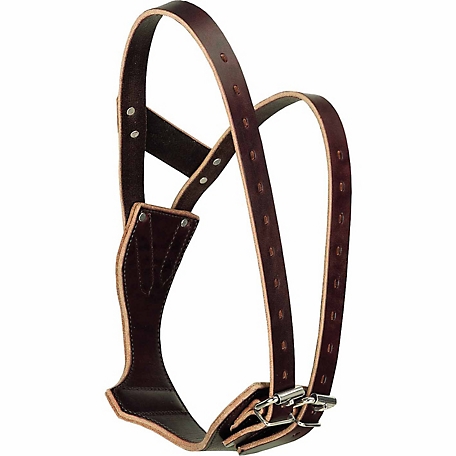 Weaver Leather Miracle Horse Cribbing Collar on Display Board