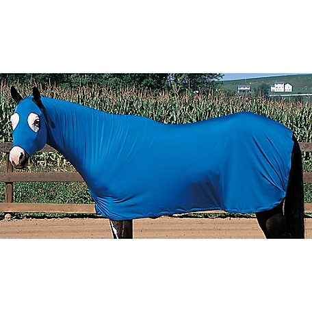 Weaver Leather EquiSkinz 4-Way Stretch Lycra Horse Sheet, Medium, Blue