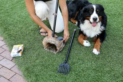 Image showing 5 th Arm & Hammer Swivel Bin Scented Dog Poop Bags, 20 ct.