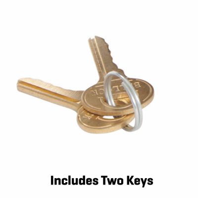 Image showing  4 in. Trigger Gun Lock