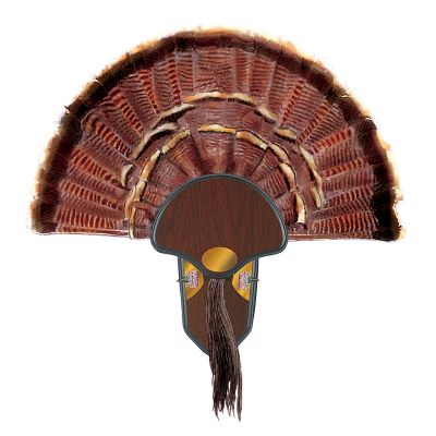 Image showing  Turkey Tail Mounting Kit