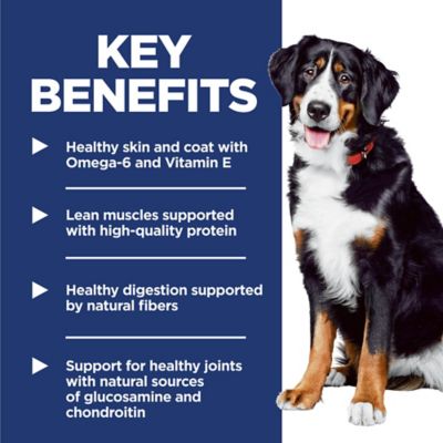 Image showing  Large Breed Adult Chicken and Barley Recipe Dry Dog Food