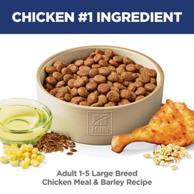 Image showing  Large Breed Adult Chicken and Barley Recipe Dry Dog Food