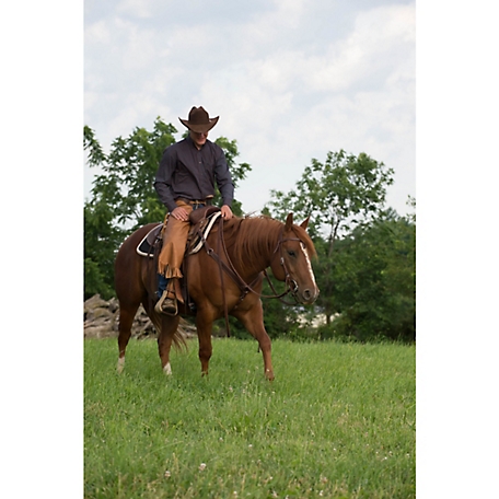 Weaver Leather Contoured All-Purpose Horse Sponge at Tractor Supply Co.