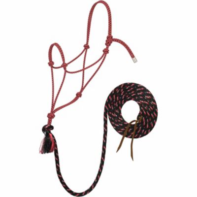 Silvertip #95 Rope Horse Halter with 12 ft. Lead