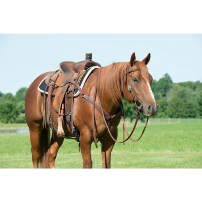 Image showing  Working Cowboy Contoured Breastcollar, Golden Chestnut