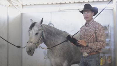 Image showing  Prodigy Athletic Horse Boots, Steel, 4-Pack