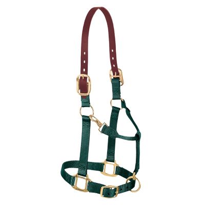 Weaver Equine Original Breakaway Horse Halter with Adjustable Chin and Throat Snap