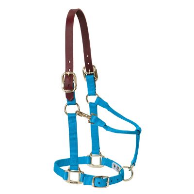 Weaver Equine Original Breakaway Horse Halter with Adjustable Chin and Throat Snap