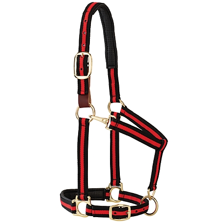 Weaver Leather Striped Horse Halter with Padded Breakaway Adjustable Chin and Throat Snap