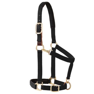 Weaver Equine Horse Halter with Padded Breakaway Adjustable Chin and Throat Snap, 1 in., Average