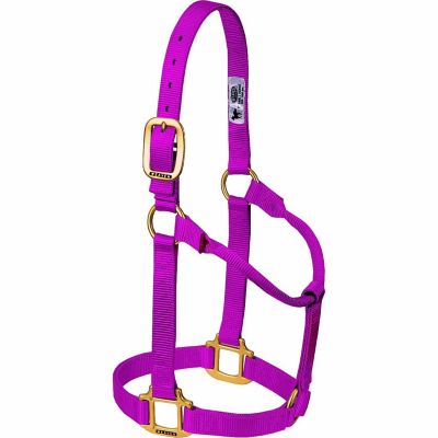 Image showing  Original Non-Adjustable Nylon Horse Halter