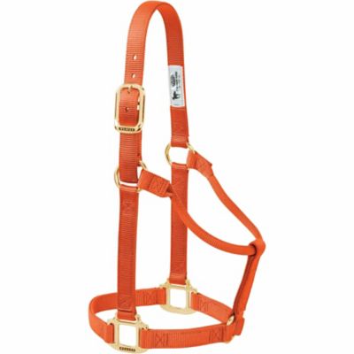 Weaver Equine Original Non-Adjustable Nylon Horse Halter