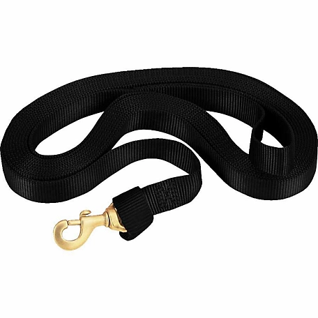 Weaver Leather 24 ft. Flat Nylon Lunge Line with Snap, 1 in., Black