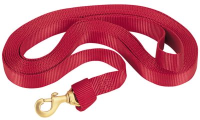 Weaver Leather Flat Nylon Lunge Line, Raspberry