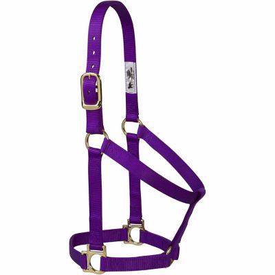 Image showing  Basic Non-Adjustable Horse Halter