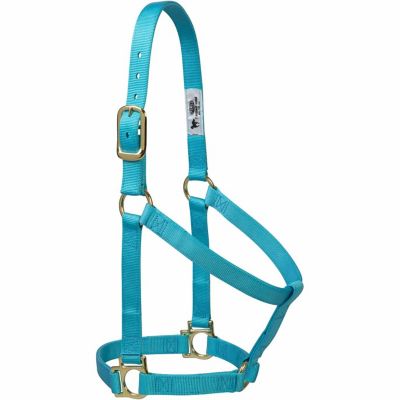 Weaver Leather Basic Non-Adjustable Horse Halter