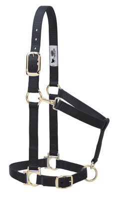 Weaver Equine Basic Halter with Adjustable Chin and Throat Snap, 1 in.