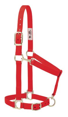 Weaver Equine Basic Halter with Adjustable Chin and Throat Snap, 1 in.