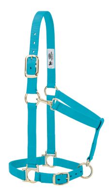 Image showing  Basic Halter with Adjustable Chin and Throat Snap, 1 in.