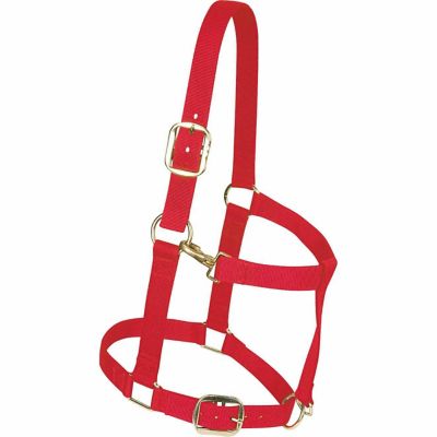 Weaver Equine Nylon Draft Horse Halter