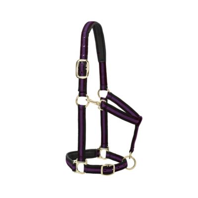 Image showing  Striped Horse Halter with Padded Adjustable Chin and Throat Snap, 1
