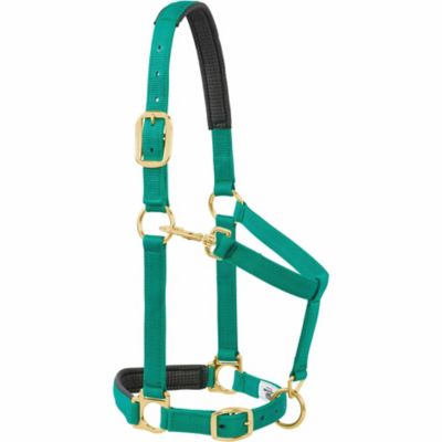 Weaver Leather Horse Halter with Padded Adjustable Chin and Throat Snap