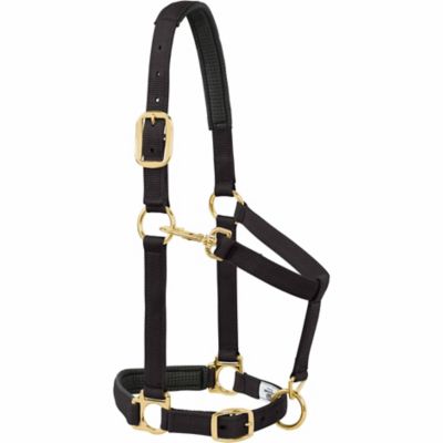 Weaver Equine Horse Halter with Padded Adjustable Chin and Throat Snap