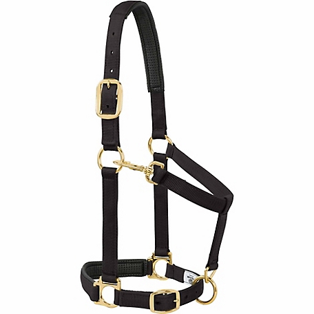 Weaver Leather Horse Halter with Padded Adjustable Chin and Throat Snap